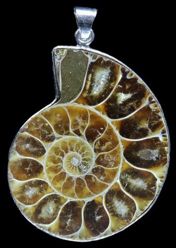 Fossil Ammonite Pendant - Million Years Old #89824